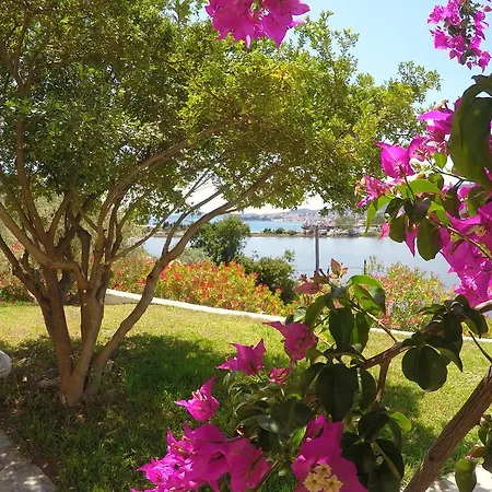 Apartamento Ariadni *